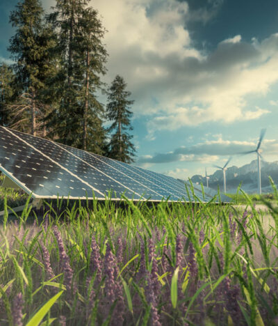 Ecology Scoping in the Survey Guidelines