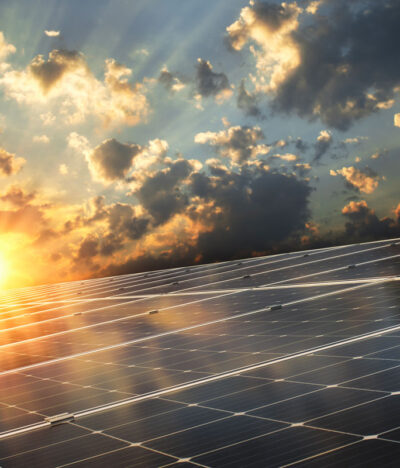 Ecology Surveys and Planning Permission: A Guide